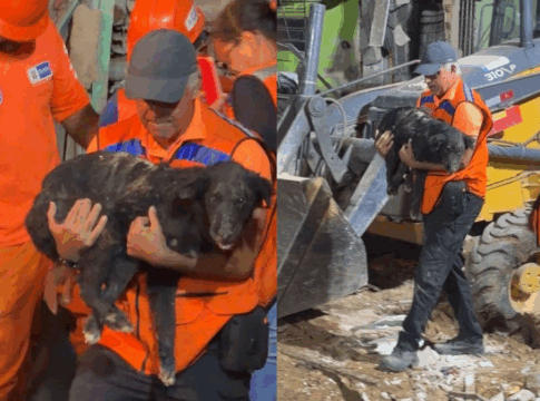 Cachorro Nick sendo carregado no colo dos socorristas