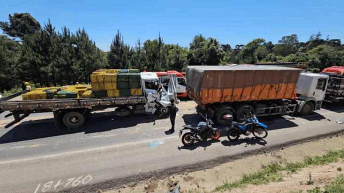 Caminhões e carros do acidente parados na estrada