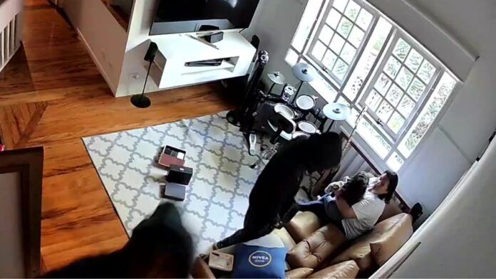 Mulher e criança são feitas reféns durante roubo no Jardins, em São Paulo