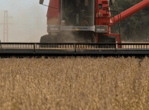 China deixa de importar soja dos EUA em setembro pela 1ª vez em sete anos