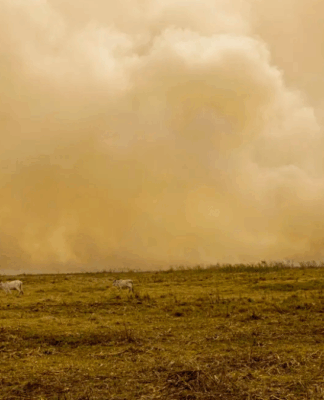 Três homens estão no pasto diante de longa fogueira que aparece no horizonte