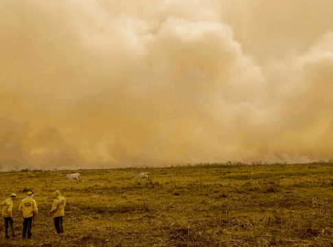 Três homens estão no pasto diante de longa fogueira que aparece no horizonte