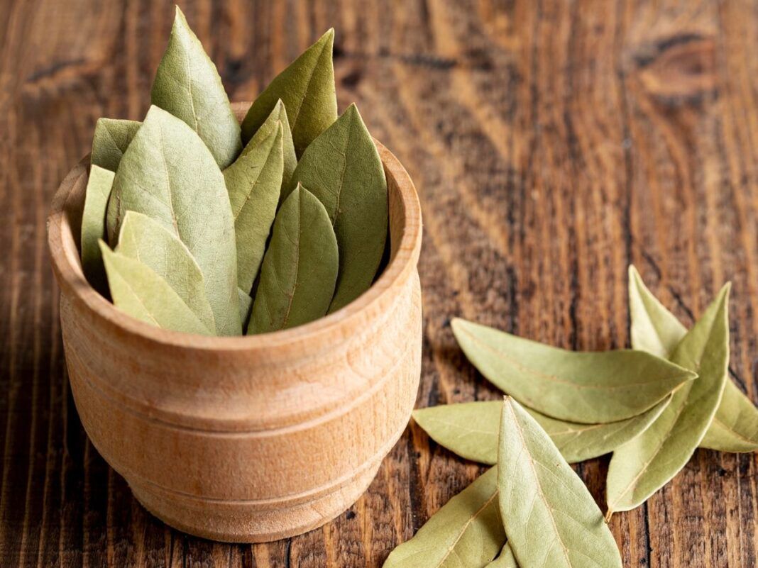 A imagem mostra um pote em cima de uma mesa de madeira cheio de folhas de louro