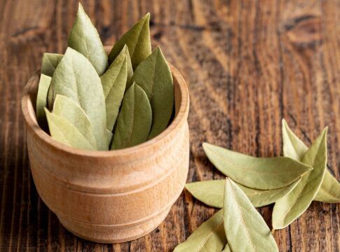 A imagem mostra um pote em cima de uma mesa de madeira cheio de folhas de louro