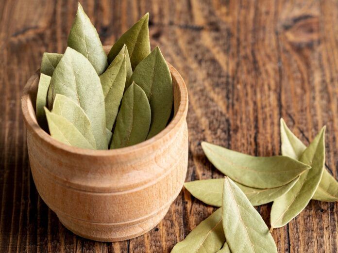 A imagem mostra um pote em cima de uma mesa de madeira cheio de folhas de louro