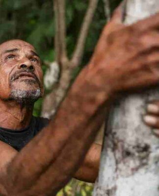 Projeto transforma áreas de queimada em produção sustentável no Marajó