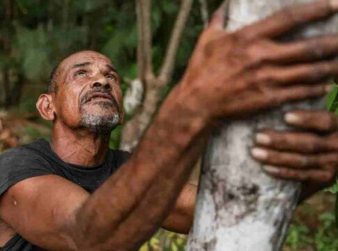 Projeto transforma áreas de queimada em produção sustentável no Marajó