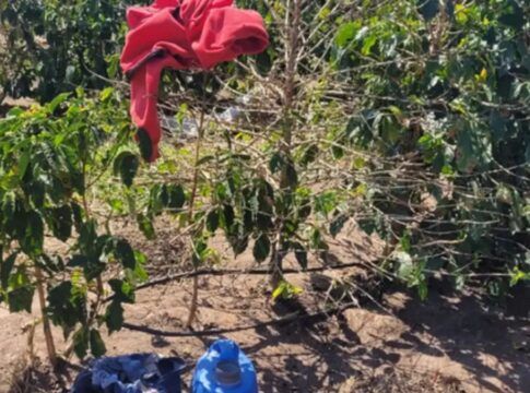 Ação resgata 17 trabalhadores em condições análogas à escravidão em SP