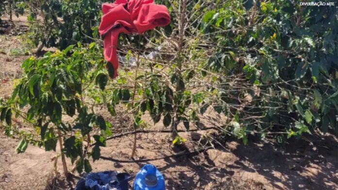 Ação resgata 17 trabalhadores em condições análogas à escravidão em SP