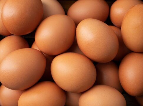 Diversos ovos em um recipiente.