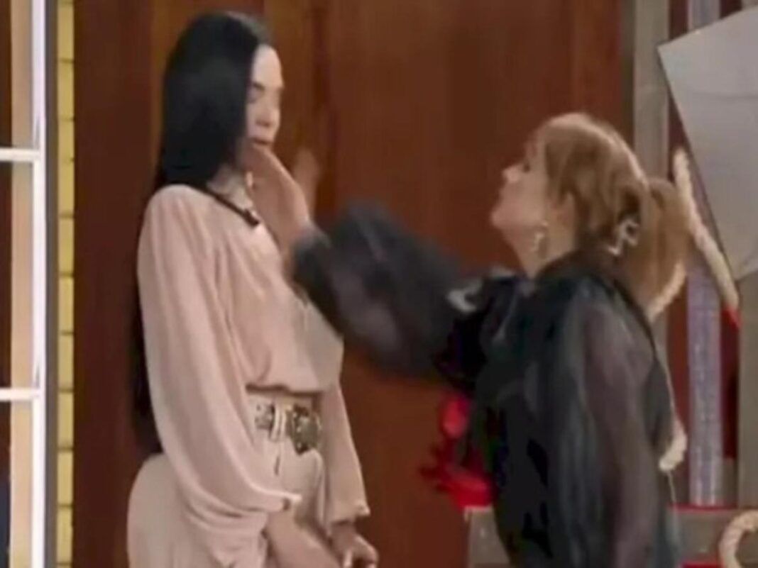 Imagem colorida de tapa na Fazenda