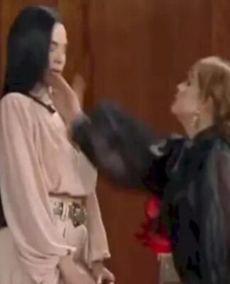 Imagem colorida de tapa na Fazenda