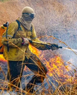 Incêndio na Chapada dos Veadeiros
