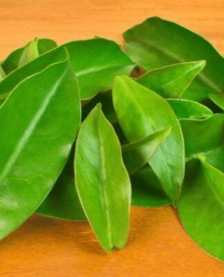 Folhas de ora-pro-nóbis