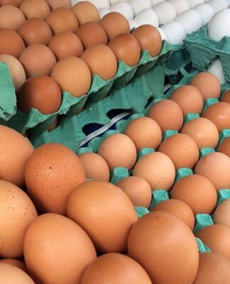 A imagem é um plano aproximado que mostra uma grande quantidade de ovos dispostos em bandejas de papelão verde. O foco principal está na variedade de cores dos ovos. A maior parte dos ovos, em primeiro plano e no centro, é marrom claro ou alaranjada (ovos vermelhos). No canto superior direito, há uma fileira diagonal de ovos brancos, contrastando com os marrons.