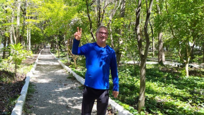 Ativista deixa vida de executivo bem-sucedido para plantar 42 mil árvores em SP