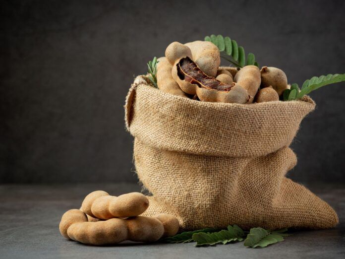 Diversos frutos de tamarindo em um saco de tecido. O fundo é preto.