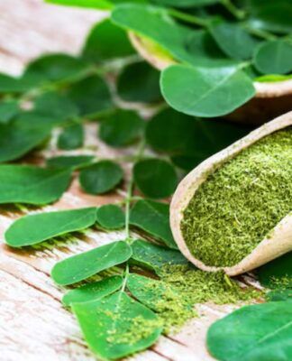 Chá de Moringa, planta e pó