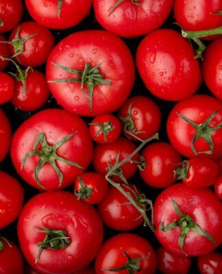 Vários tomates bem vermelhos e de diferentes tamanhos
