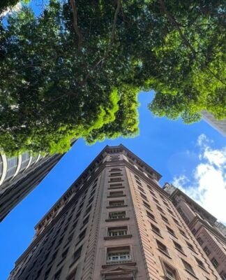 Foto tirada de baixo para cima mostra prédios altos e antigos ao redor, com uma copa de árvore preenchendo parte do enquadramento e o céu azul ao fundo.