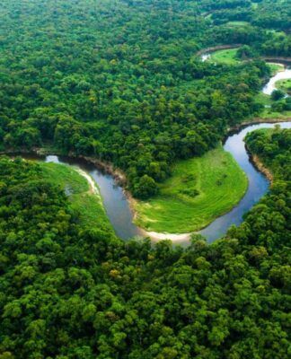 Foto área da Floresta Amazônica
