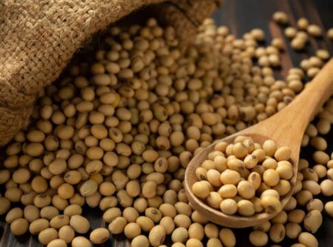 Saco de estopa aberto derramando grãos de soja sobre uma superfície de madeira, com uma colher de madeira cheia de grãos em primeiro plano.