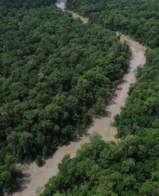 Rio corta floresta amazônica
