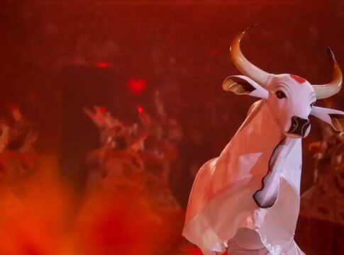 Boi-bumbá de cor branco com fundo vermelho durante manifestação cultural