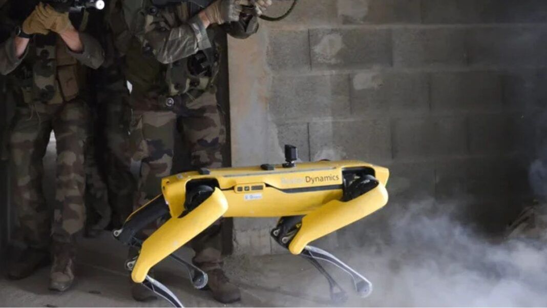 Foto do cão robô Spot, de cor amarela, durante atuação em missão militar
