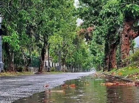 Imagem de um trecho de Petrópolis (RJ) levemente alagado após chuva