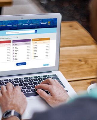 Arte de pessoa no computador lendo lista de nomes do IBGE