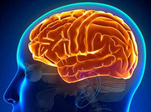 Estudo de Harvard revela que 3,5 mil passos por dia pode ‘adiar’ Alzheimer