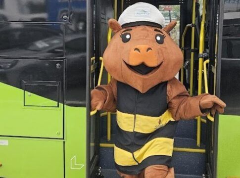 Capivara Capi Tânia