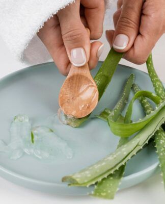 Em imagem ilustrativa, pessoa extrai gel do Aloe Vera, conhecido como Babosa
