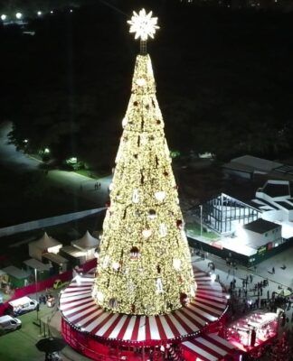Árvore de Natal do Parque Villa-Lobos