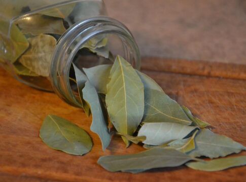 Veja como as folhas de louro podem ajudar a trazer novas energias para o ano-novo