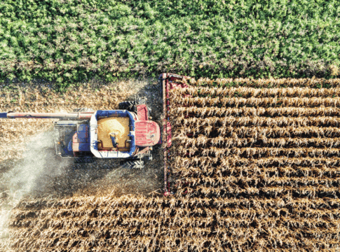 Colheitadeira em um campo agrícola.