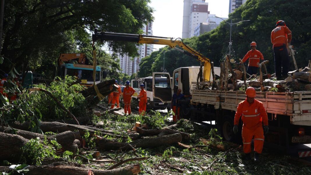Homens trabalham para remover árvores caídas nas ruas de SP
