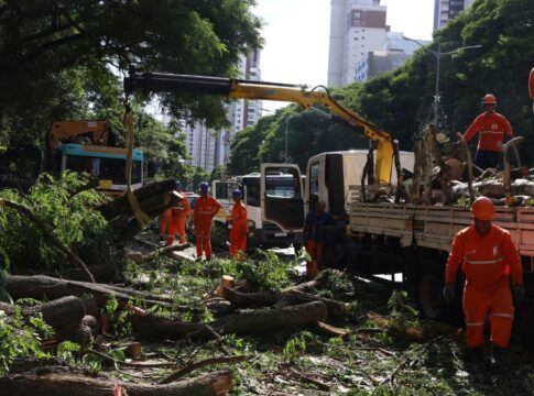 Homens trabalham para remover árvores caídas nas ruas de SP