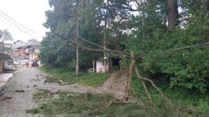 A imagem mostra uma cena de destruição causada por uma árvore que caiu sobre a fiação elétrica em uma rua arborizada, provavelmente em um bairro de São Paulo, após um evento de mau tempo.