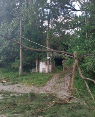 A imagem mostra uma cena de destruição causada por uma árvore que caiu sobre a fiação elétrica em uma rua arborizada, provavelmente em um bairro de São Paulo, após um evento de mau tempo.