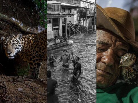 A imagem é uma mescla das três melhores fotos de 2025