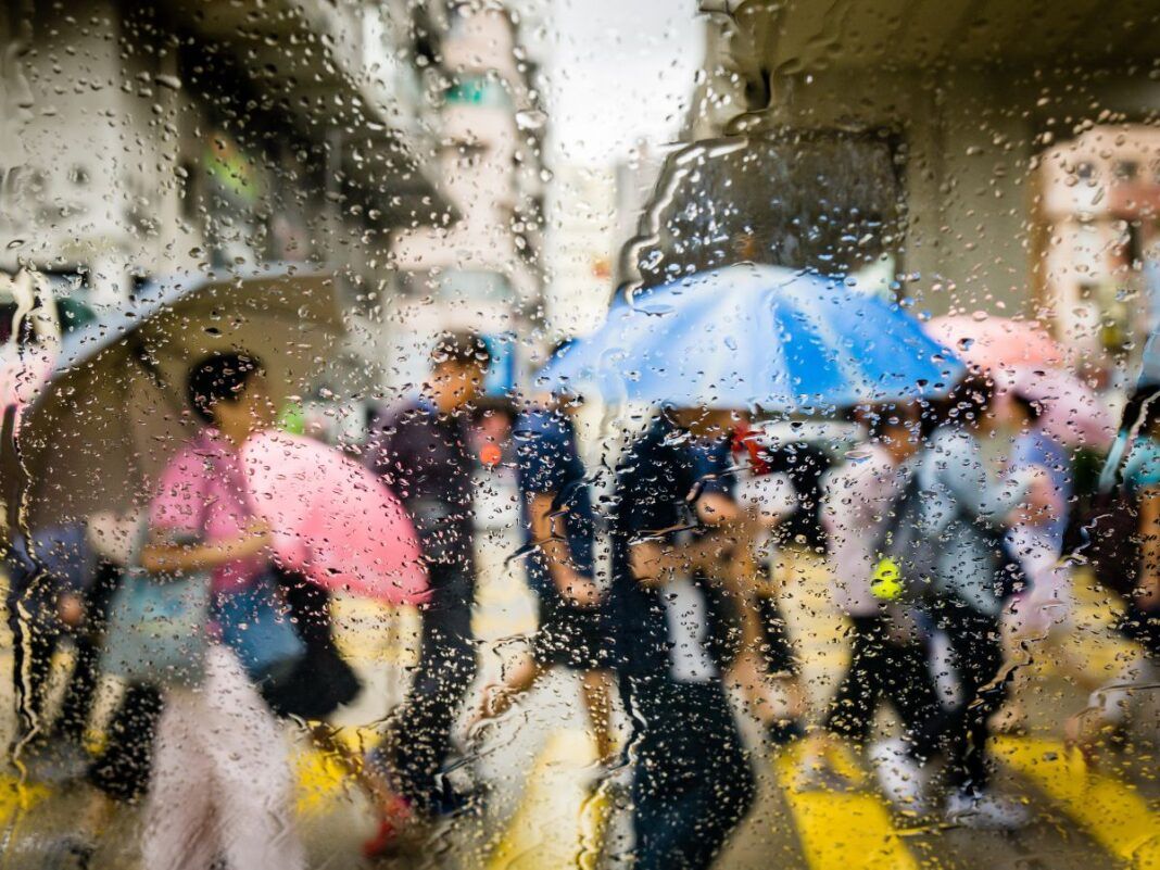 Em imagem ilustrativas, pessoas andam de guarda-chuva em tempo de chuva na rua