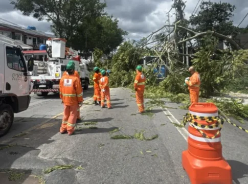 Árvores caídas causaram transtornos e falta de energia em São Paulo