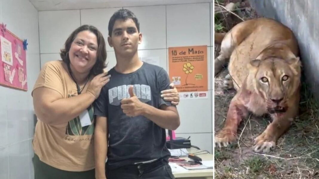 Esta é uma montagem em formato de díptico (duas imagens lado a lado) que contrasta uma cena de afeto e apoio com a imagem chocante do animal envolvido no incidente. Uma mulher conselheira tutelar e o jovem Gerson estão lado a lado.