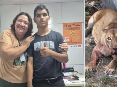 Esta é uma montagem em formato de díptico (duas imagens lado a lado) que contrasta uma cena de afeto e apoio com a imagem chocante do animal envolvido no incidente. Uma mulher conselheira tutelar e o jovem Gerson estão lado a lado.