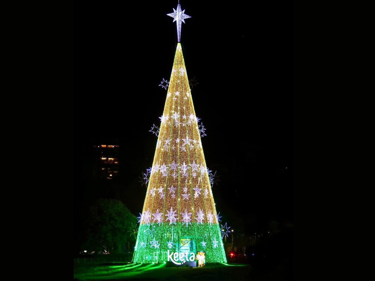 Na foto há uma árvore de natal decorada com luzes.