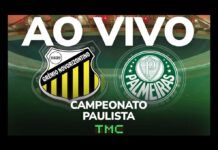 Novorizontino x Palmeiras: confira a transmissão da TMC ao vivo