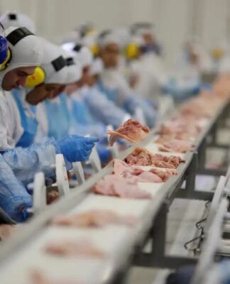 IBGE: indústria brasileira mantém estabilidade pelo sétimo mês consecutivo