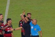 Sálvio Spínola sobre lance envolvendo Arrascaeta e Alan Franco: “Não é pênalti”